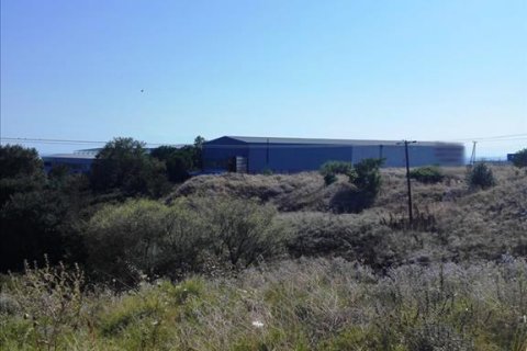 37500m² Land à Evosmos, Greece No. 59534 9