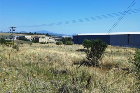 37500m² Land en Evosmos, Greece No. 59534 7