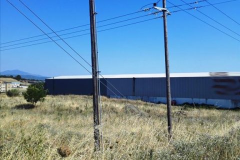 37500m² Land à Evosmos, Greece No. 59534 5