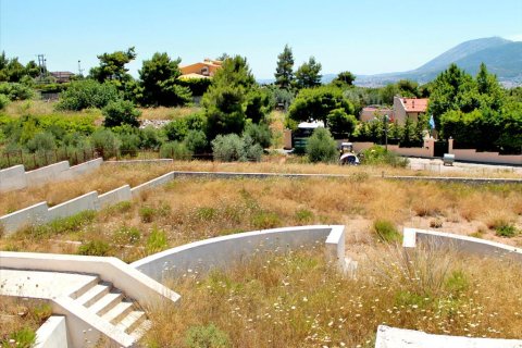 330m² Villa en Nea Penteli, Greece No. 59538 10