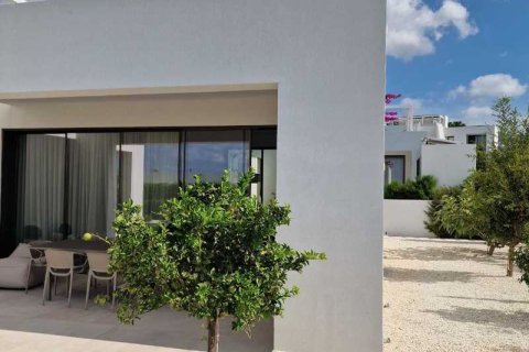 4 bedrooms Villa in Pegeia, Cyprus No. 66497 8