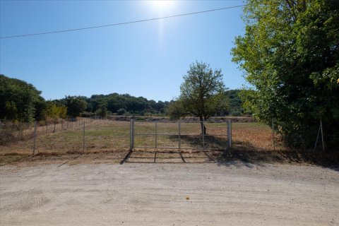 4143m² Land in Corfu, Greece No. 56998 4