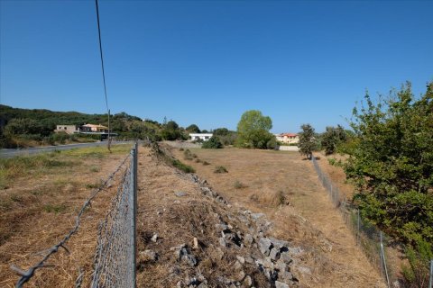 4143m² Land à Corfu, Greece No. 56998 3