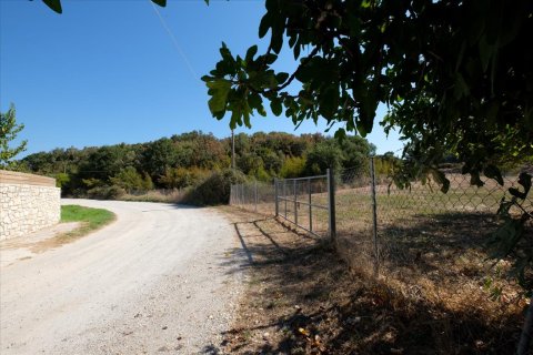 4143m² Land in Corfu, Greece No. 56998 5