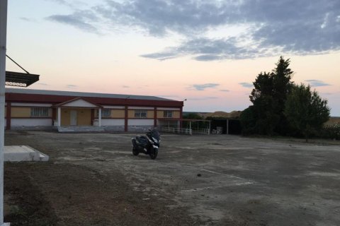 1400m² Business in Chalkidiki, Greece No. 57096 2