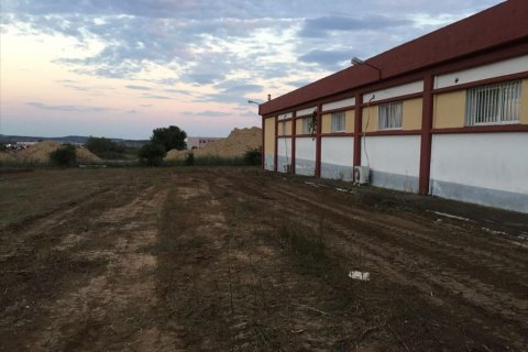 1400m² Business in Chalkidiki, Greece No. 57096 5