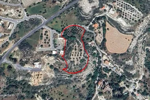 10958m² Land in Marathounta, Cyprus No. 43965 1