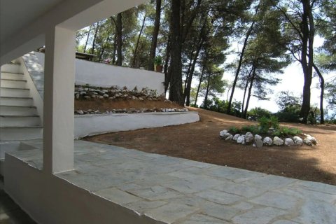 5 chambres House à Chalkidiki, Greece No. 57061 15