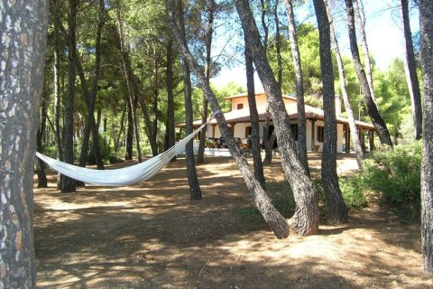 5 chambres House à Chalkidiki, Greece No. 57061 20