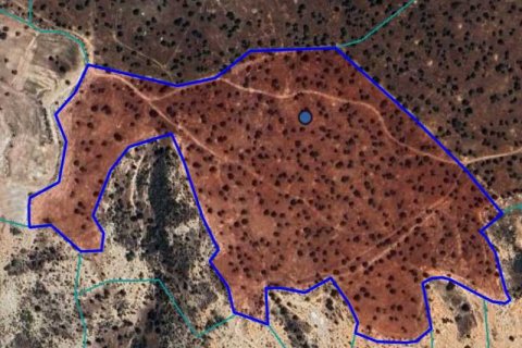 103680m² Land in Pissouri, Cyprus No. 78142 1