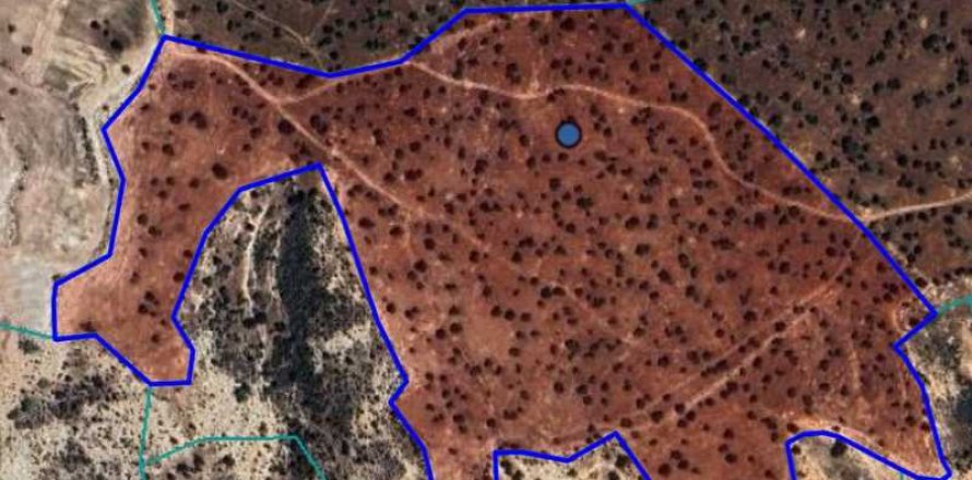 103680m² Land in Pissouri, Cyprus No. 78142