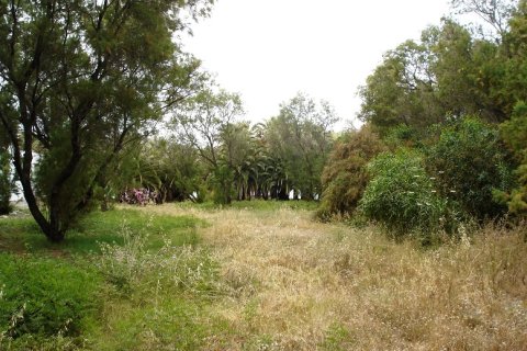 10652m² Land in Chania, Greece No. 58111 5