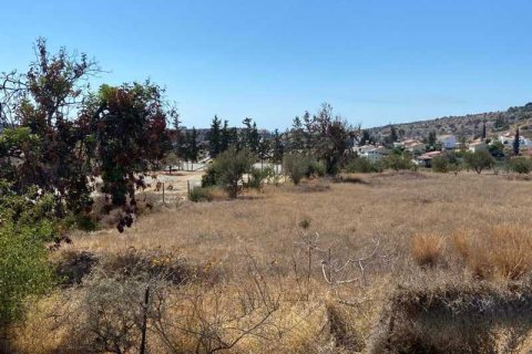 4544m² Land à Agios Tychonas, Cyprus No. 66063 6