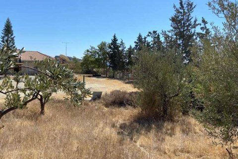 4544m² Land à Agios Tychonas, Cyprus No. 66063 9