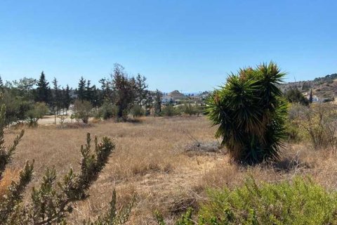 4544m² Land à Agios Tychonas, Cyprus No. 66063 8