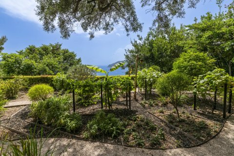 6 chambres Villa à Saint-Jean-Cap-Ferrat, France No. 69227 17