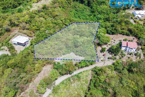 3429.61m² Land in Saint George South, Grenada No. 53178 1