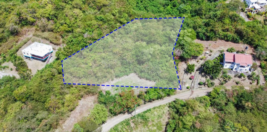 3429.61m² Land in Saint George South, Grenada No. 53178