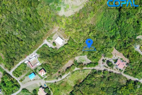 3429.61m² Land in Saint George South, Grenada No. 53178 4