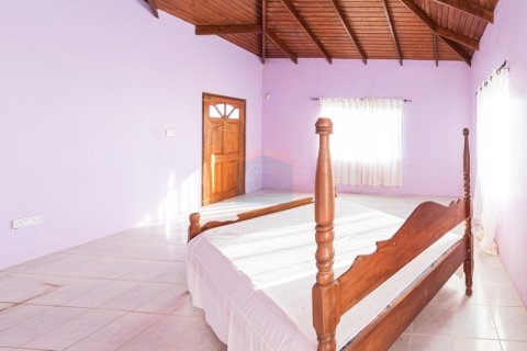 4 bedrooms House in Old Westerhall, Grenada No. 53182 13