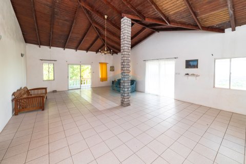 4 bedrooms House in Old Westerhall, Grenada No. 53182 11