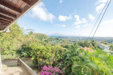 4 chambres House à Old Westerhall, Grenada No. 53182 6