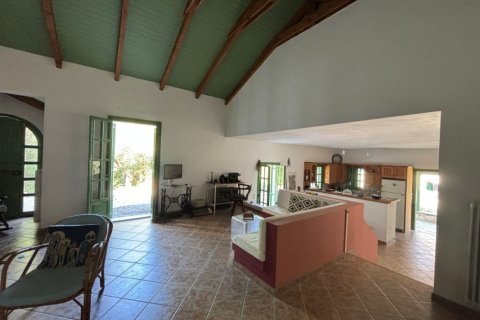 1 bedroom Villa in Zakynthos, Greece No. 72302 12