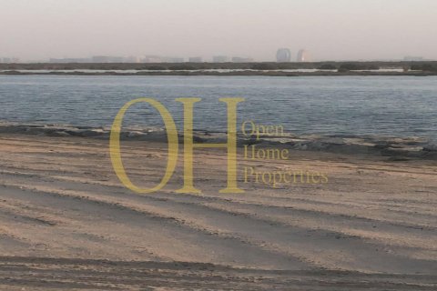 979.6m² Land on the Yas Island, UAE No. 8686 6