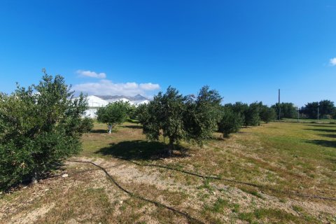 335m² Commercial property en Lasithi, Greece No. 52151 4