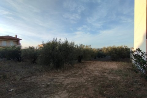 1483m² Land in Thessaloniki, Greece No. 55129 1