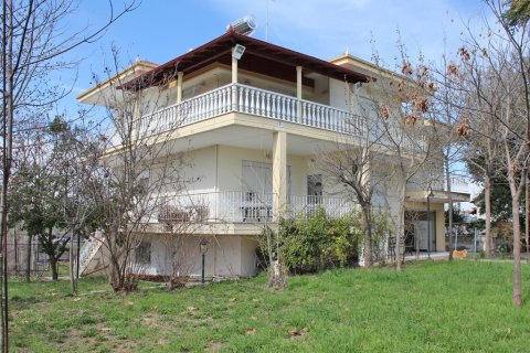 8 chambres House à Pieria, Greece No. 55147 2