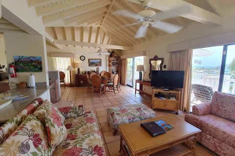 2 bedrooms Villa in Piccadilly, Antigua and Barbuda No. 61370 3