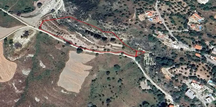 11456m² Land à Armou, Cyprus No. 35618