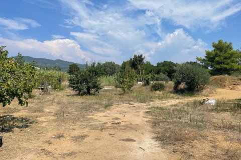 2900m² Land en Corfu, Greece No. 55332 11