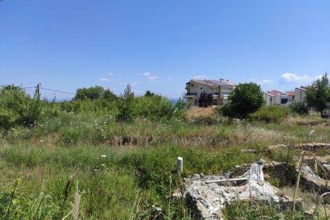 2000m² Land à Chalkidiki, Greece No. 56302 2