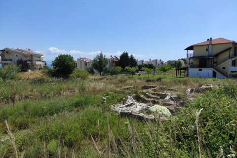 2000m² Land in Chalkidiki, Greece No. 56302 5