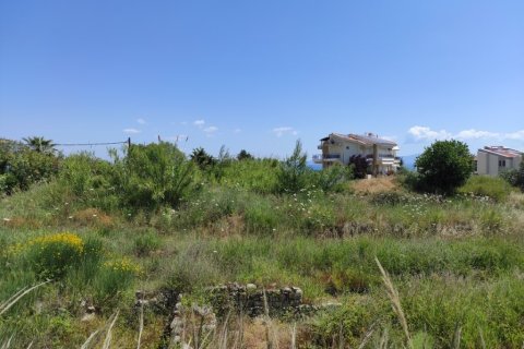 2000m² Land in Chalkidiki, Greece No. 56302 3