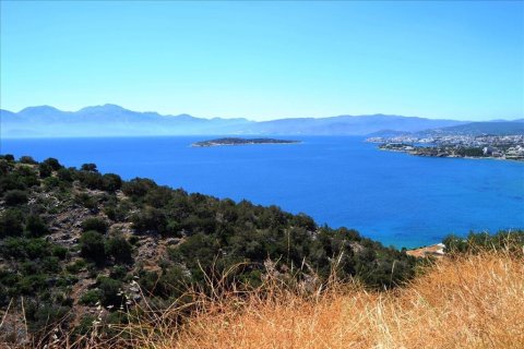 4500m² Land in Agios Nikolaos, Greece No. 56300 1