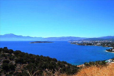 4500m² Land in Agios Nikolaos, Greece No. 56300 2