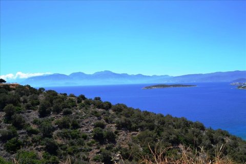 4500m² Land in Agios Nikolaos, Greece No. 56300 3