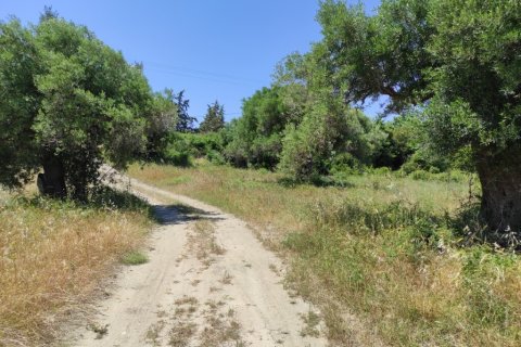 1800m² Land in Chalkidiki, Greece No. 56303 4