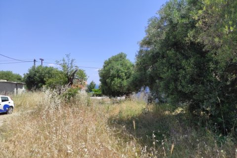 1800m² Land in Chalkidiki, Greece No. 56303 6