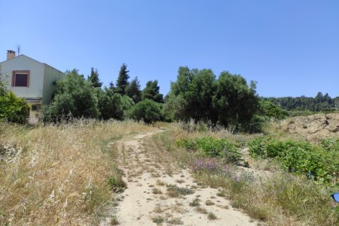 1800m² Land à Chalkidiki, Greece No. 56303 2