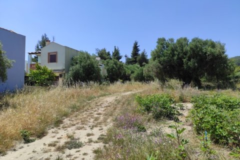 1800m² Land en Chalkidiki, Greece No. 56303 5