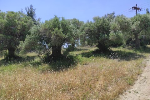 1800m² Land in Chalkidiki, Greece No. 56303 3