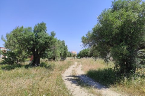 1800m² Land in Chalkidiki, Greece No. 56303 1