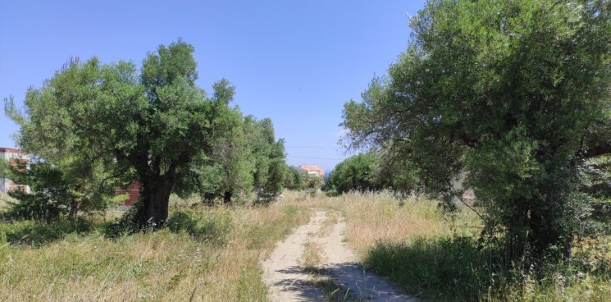 1800m² Land en Chalkidiki, Greece No. 56303