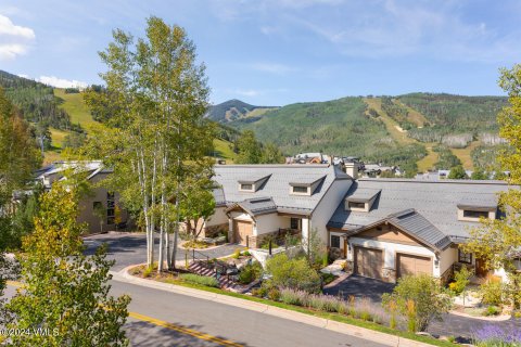 3 chambres Townhouse à Beaver Creek, USA No. 62122 15