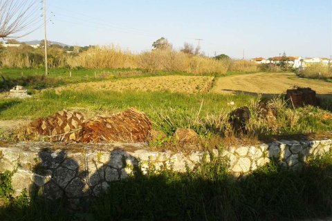 Land en Zakynthos, Greece No. 28064 2