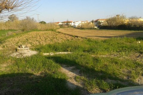 Land in Zakynthos, Greece No. 28064 4